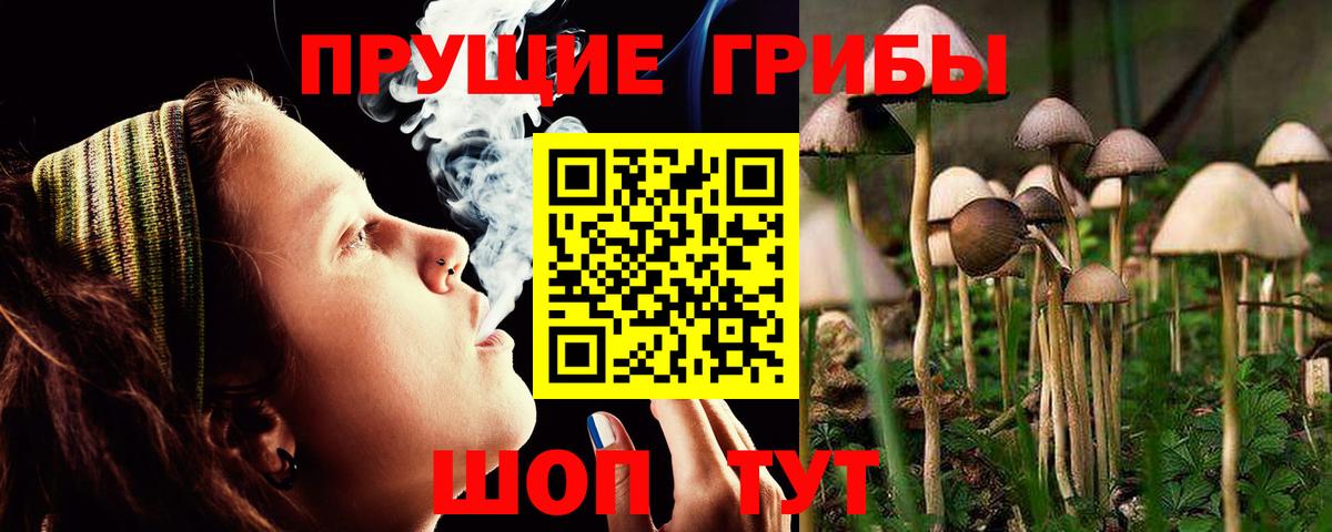 Псилоцибиновые грибы мицелий  Вход с VPN  Барабинск 