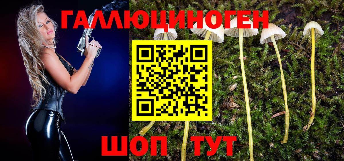 Псилоцибиновые грибы Magic Shrooms Барабинск