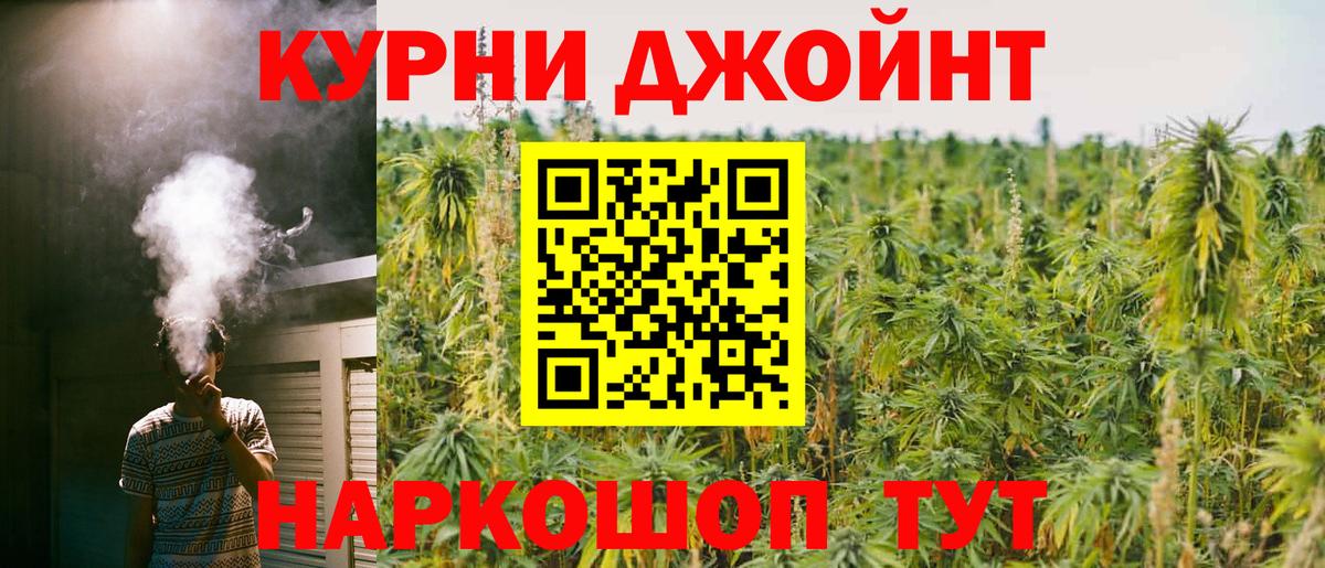 Конопля план  Вход с VPN  Барабинск  Конопля индика 